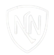 Nabiyeva Legal Logo